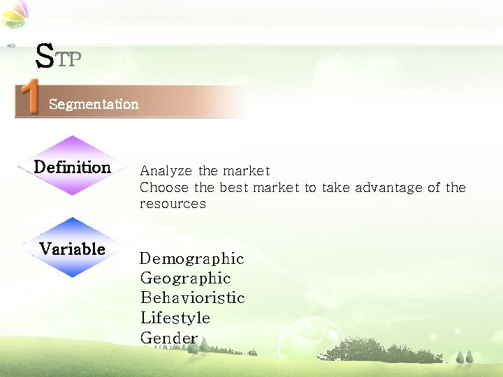 STP Segmentation Definition Variable Analyze the market Choose the best market to take advantage