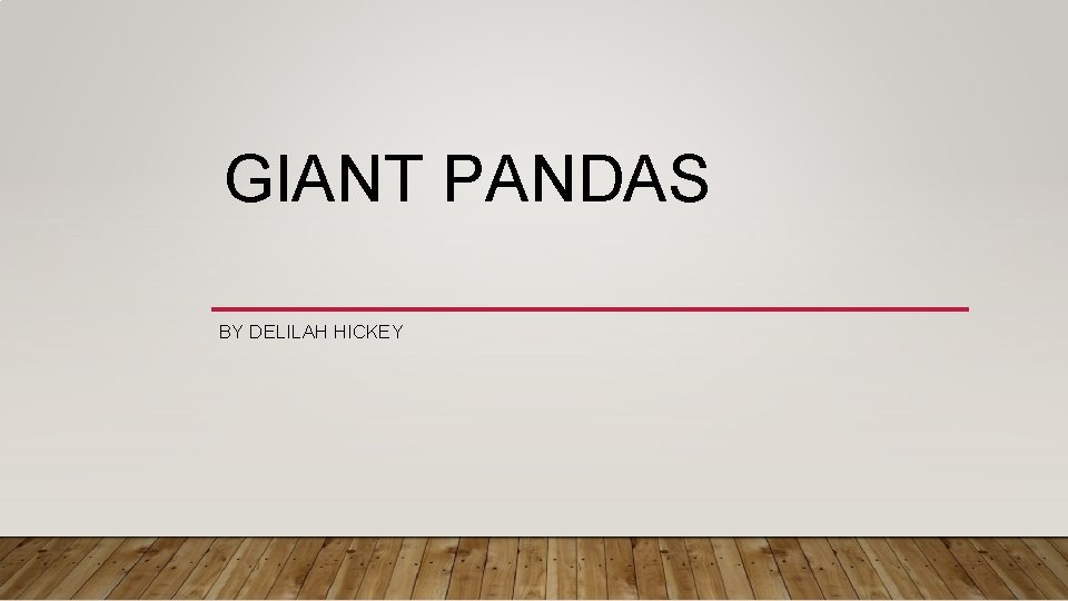 GIANT PANDAS BY DELILAH HICKEY 
