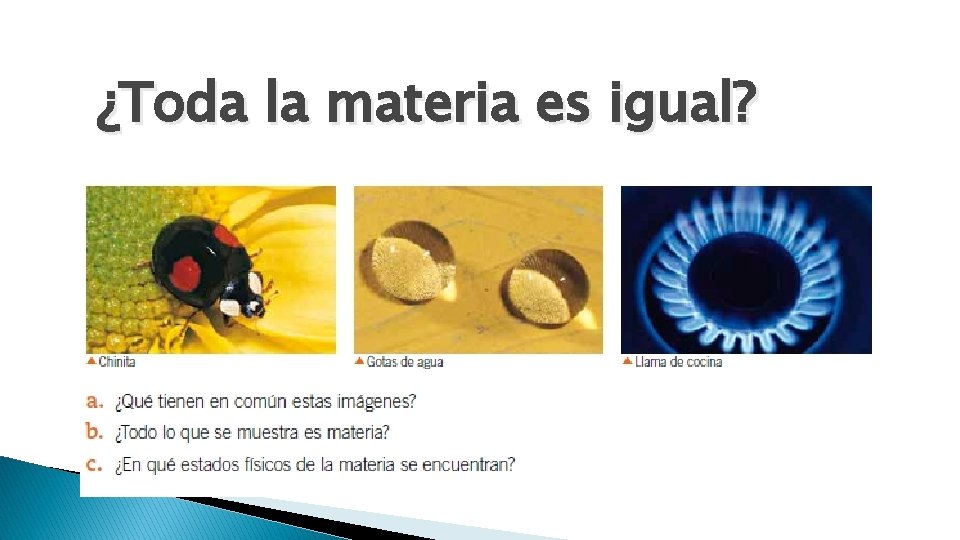 ¿Toda la materia es igual? 