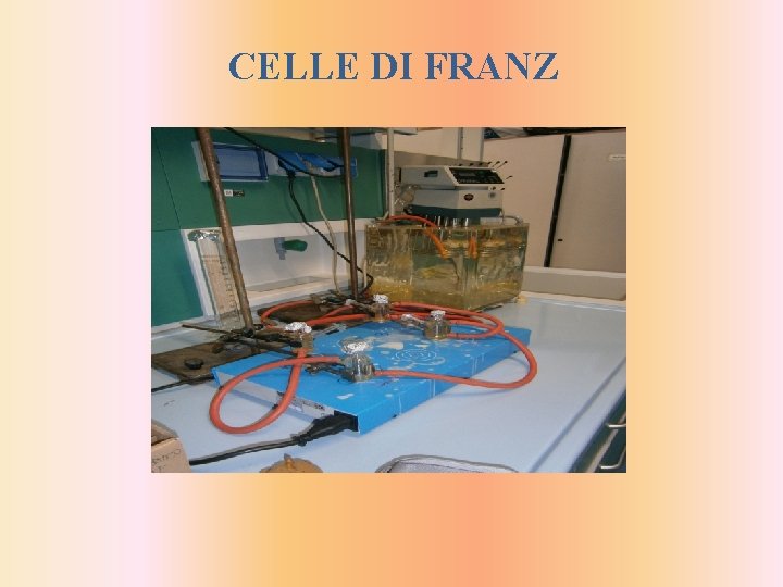 CELLE DI FRANZ 