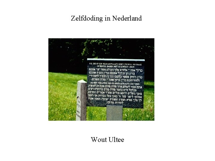 Zelfdoding in Nederland Wout Ultee 