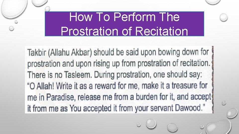 How To Perform The Prostration of Recitation 