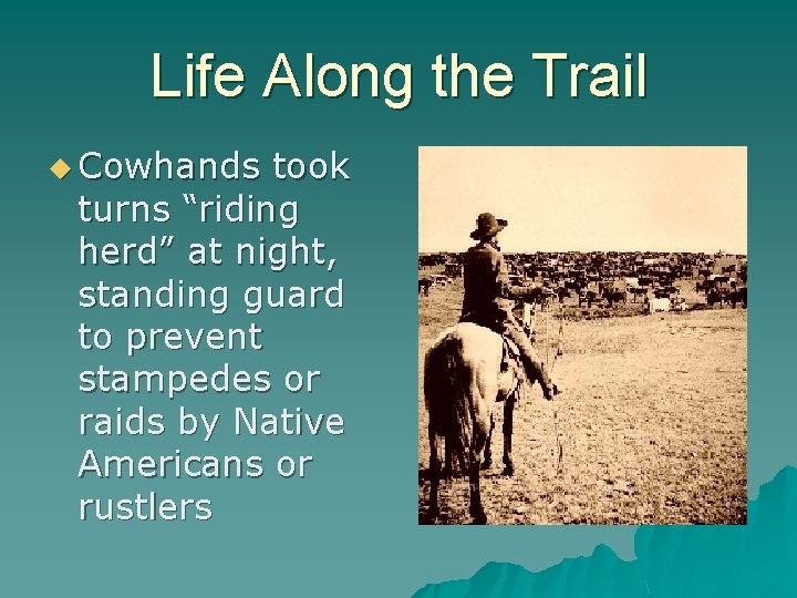 Life Along the Trail u Cowhands took turns “riding herd” at night, standing guard