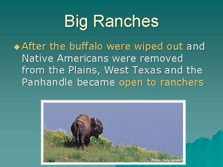 Big Ranches u After the buffalo were wiped out and Native Americans were removed