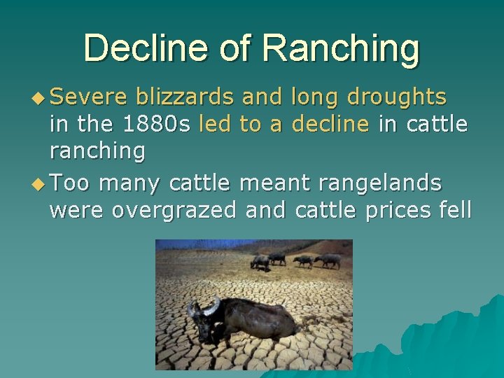 Decline of Ranching u Severe blizzards and long droughts in the 1880 s led