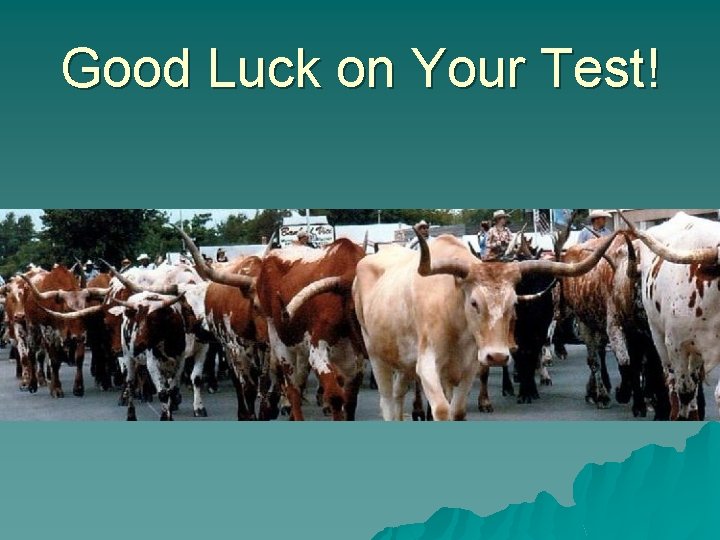 Good Luck on Your Test! 