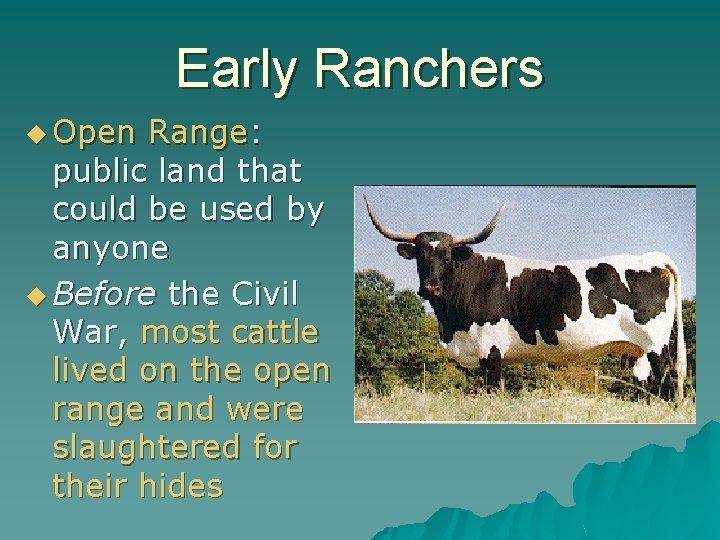Early Ranchers u Open Range: public land that could be used by anyone u