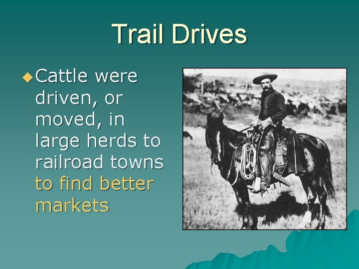 Trail Drives u Cattle were driven, or moved, in large herds to railroad towns
