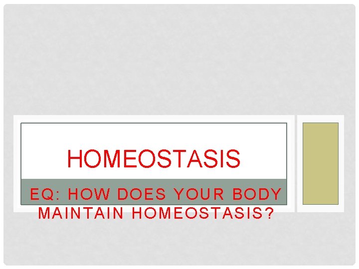 HOMEOSTASIS EQ: HOW DOES YOUR BODY MAINTAIN HOMEOSTASIS? 
