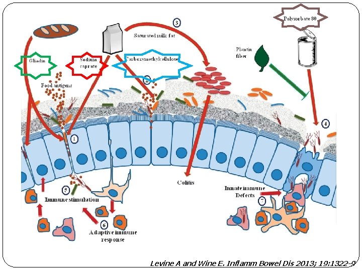 Levine A and Wine E. Inflamm Bowel Dis 2013; 19: 1322 -9 