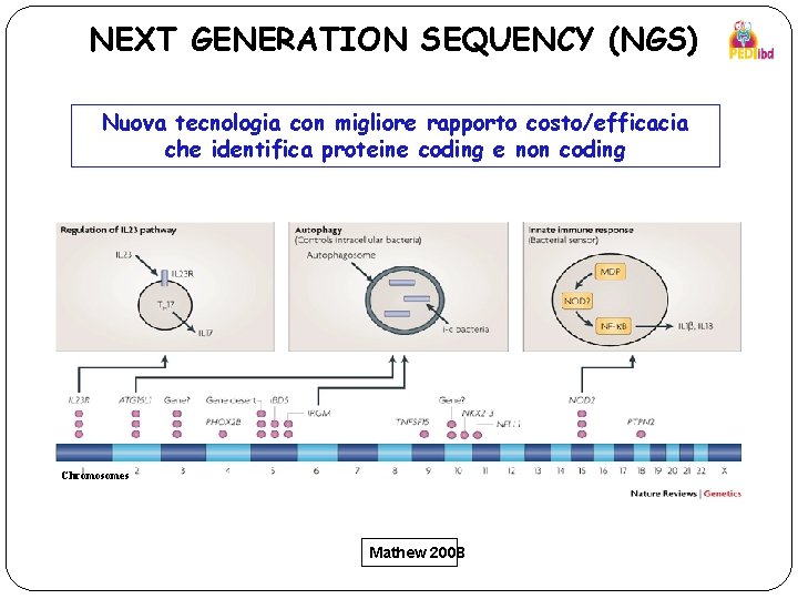 NEXT GENERATION SEQUENCY (NGS) Nuova tecnologia con migliore rapporto costo/efficacia che identifica proteine coding