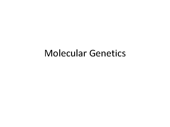 Molecular Genetics 