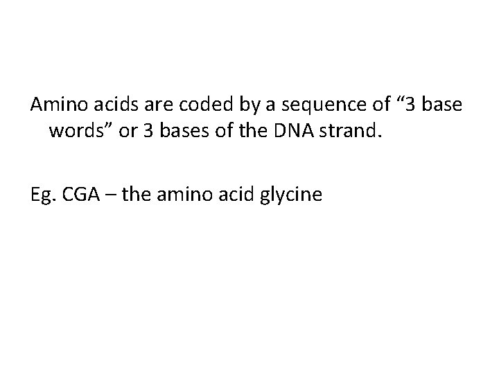 Amino acids are coded by a sequence of “ 3 base words” or 3