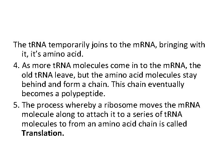 The t. RNA temporarily joins to the m. RNA, bringing with it, it’s amino