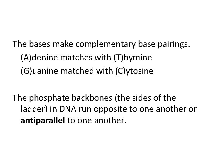 The bases make complementary base pairings. (A)denine matches with (T)hymine (G)uanine matched with (C)ytosine