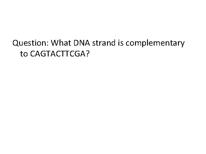 Question: What DNA strand is complementary to CAGTACTTCGA? 