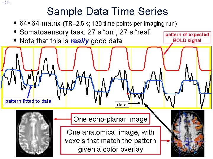 – 21– Sample Data Time Series • 64× 64 matrix (TR=2. 5 s; 130