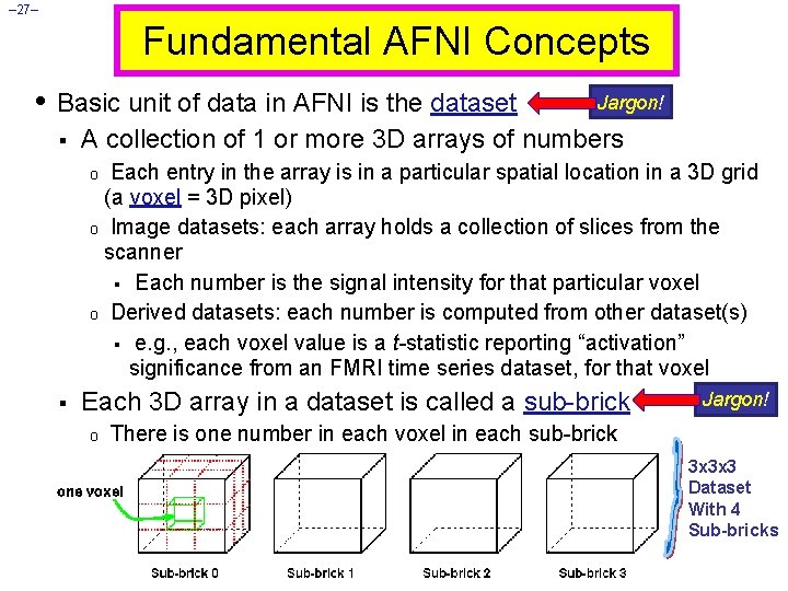 – 27– Fundamental AFNI Concepts • Basic unit of data in AFNI is the