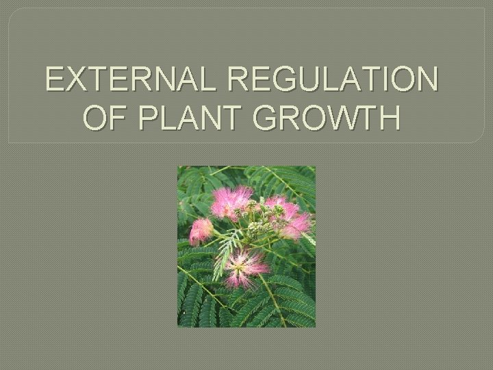 EXTERNAL REGULATION OF PLANT GROWTH 