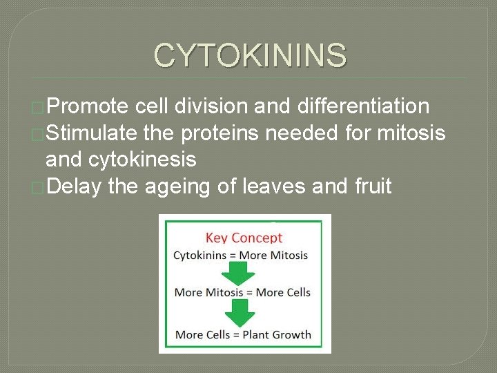 CYTOKININS �Promote cell division and differentiation �Stimulate the proteins needed for mitosis and cytokinesis