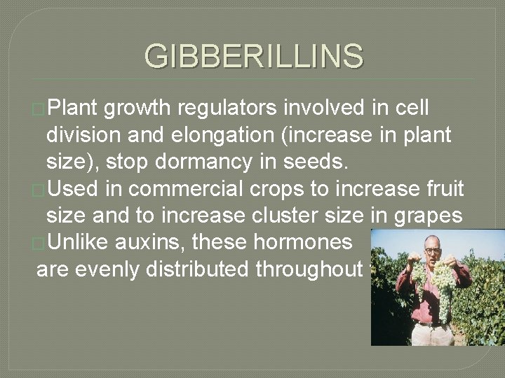 GIBBERILLINS �Plant growth regulators involved in cell division and elongation (increase in plant size),