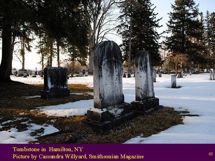 Tombstone in Hamilton, NY Picture by Cassandra Willyard, Smithsonian Magazine 68 