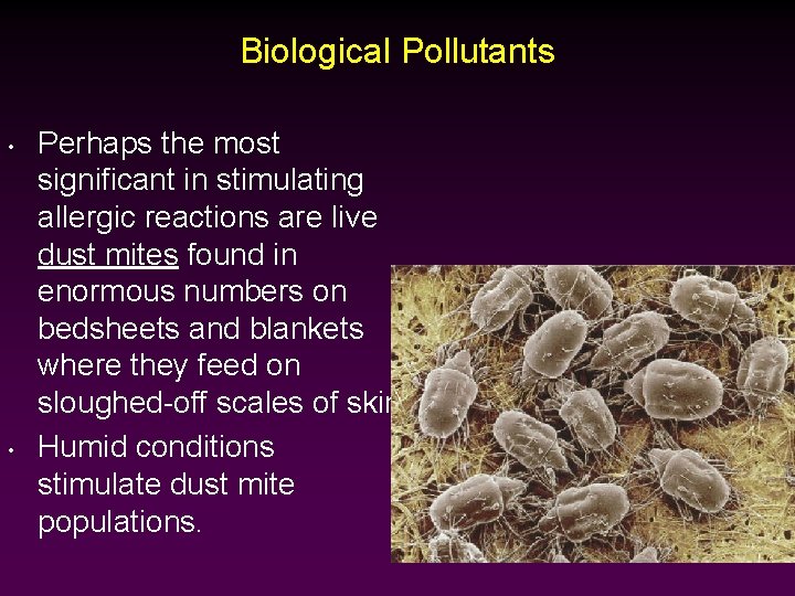 Biological Pollutants • • Perhaps the most significant in stimulating allergic reactions are live