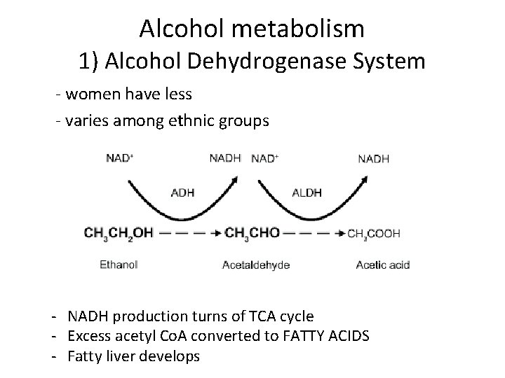 Alcohol metabolism 1) Alcohol Dehydrogenase System - women have less - varies among ethnic