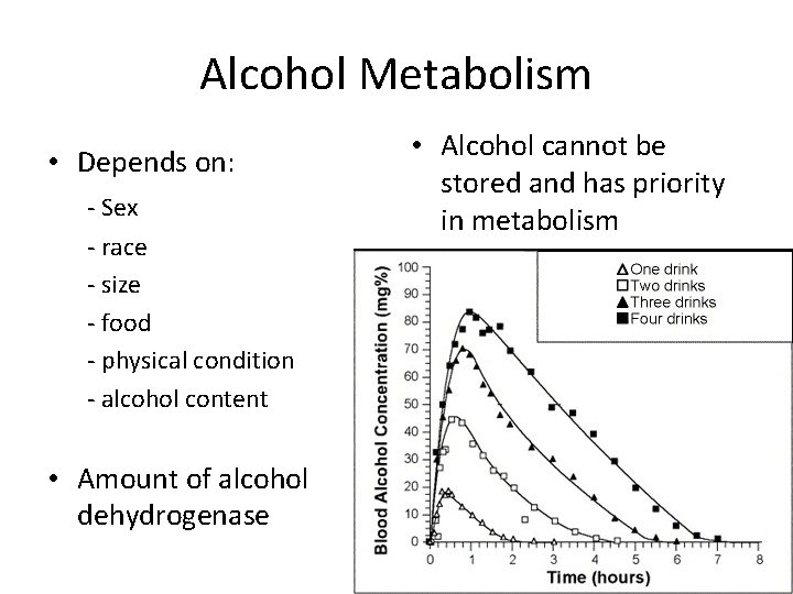 Alcohol Metabolism • Depends on: - Sex - race - size - food -