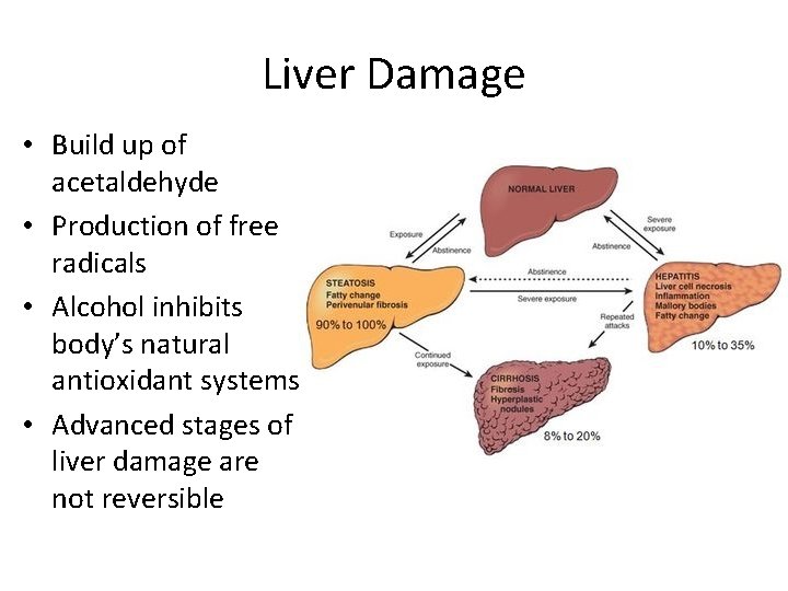 Liver Damage • Build up of acetaldehyde • Production of free radicals • Alcohol