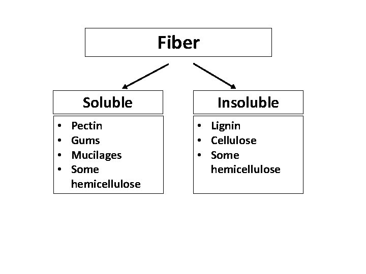 Fiber Soluble • • Pectin Gums Mucilages Some hemicellulose Insoluble • Lignin • Cellulose