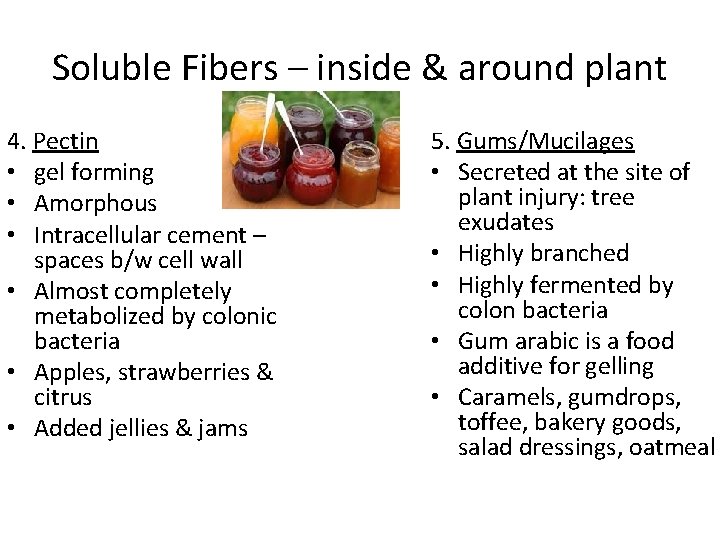 Soluble Fibers – inside & around plant 4. Pectin • gel forming • Amorphous