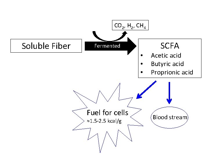 CO 2, H 2, CH 4 Soluble Fiber SCFA Fermented • • • Fuel