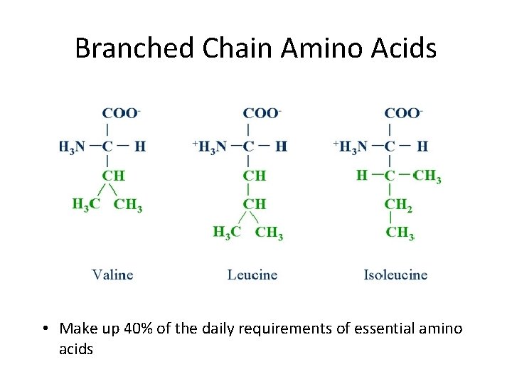 Branched Chain Amino Acids • Make up 40% of the daily requirements of essential