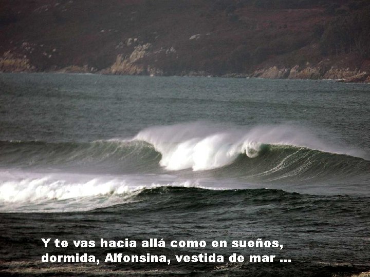 Y te vas hacia allá como en sueños, dormida, Alfonsina, vestida de mar. .