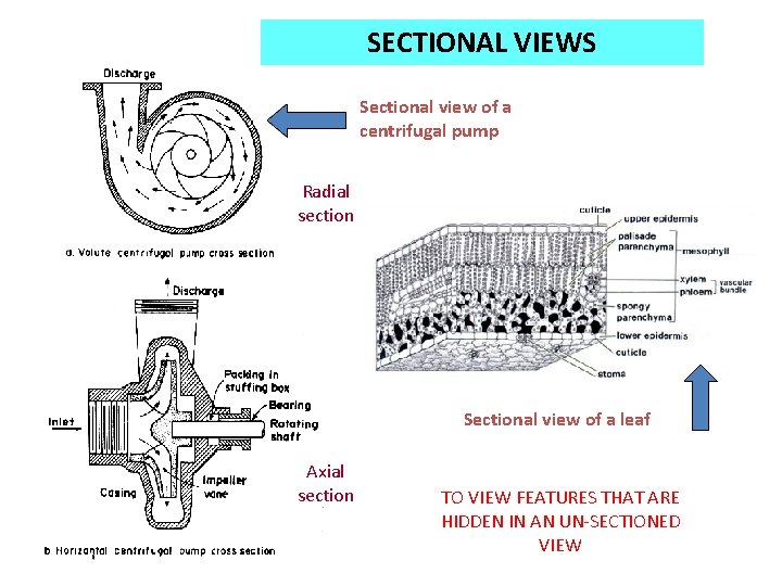 SECTIONAL VIEWS Sectional view of a centrifugal pump Radial section Sectional view of a