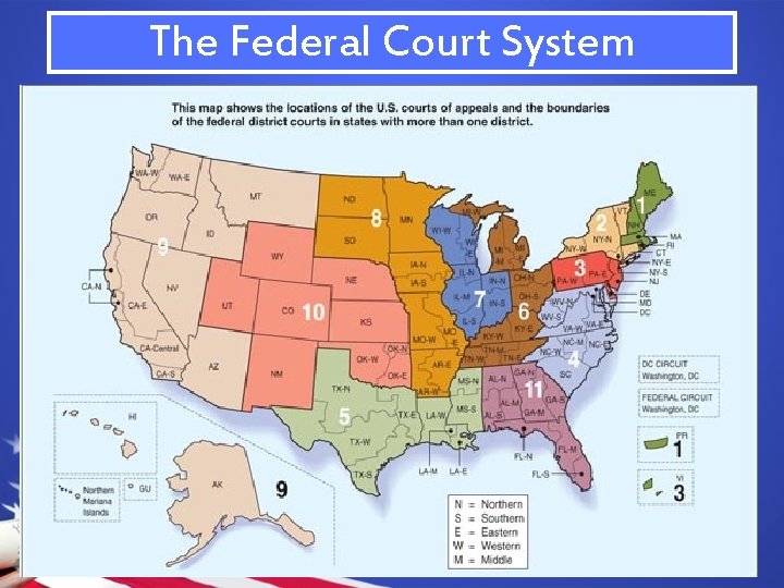 The Federal Court System 