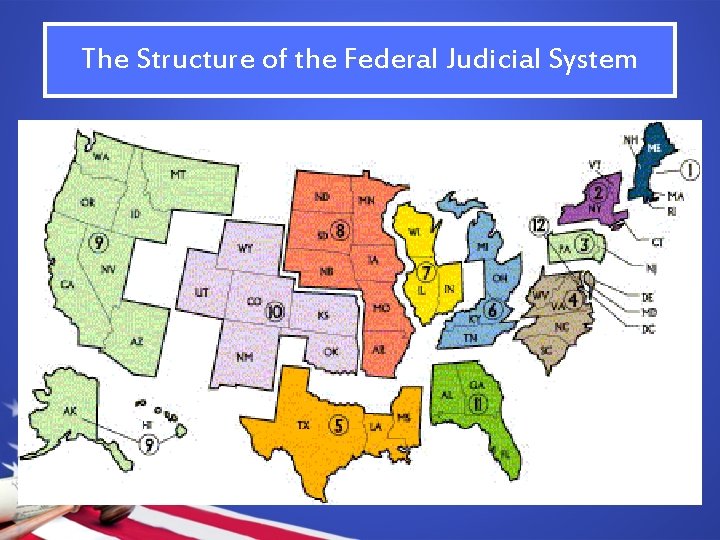 The Structure of the Federal Judicial System 