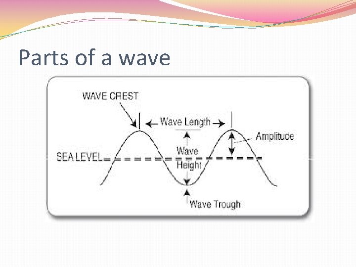 Parts of a wave 