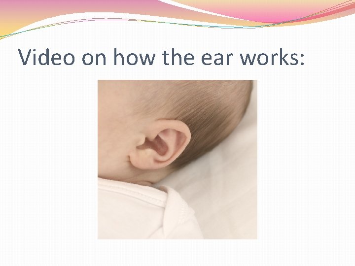 Video on how the ear works: 