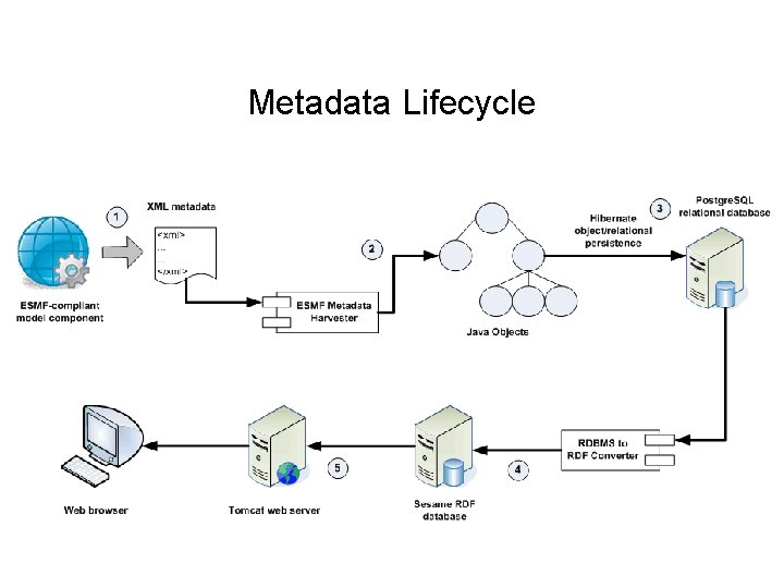 Metadata Lifecycle 