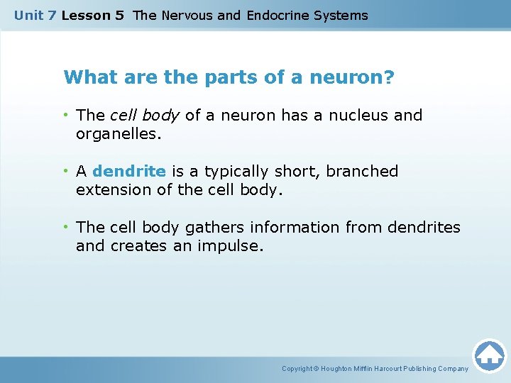 Unit 7 Lesson 5 The Nervous and Endocrine Systems What are the parts of Unit 7 Lesson 5 The Nervous and Endocrine Systems What are the parts of