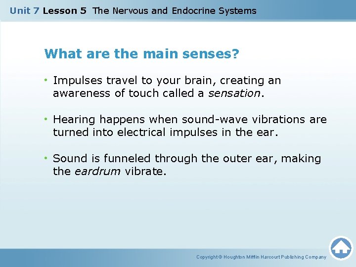Unit 7 Lesson 5 The Nervous and Endocrine Systems What are the main senses? Unit 7 Lesson 5 The Nervous and Endocrine Systems What are the main senses?