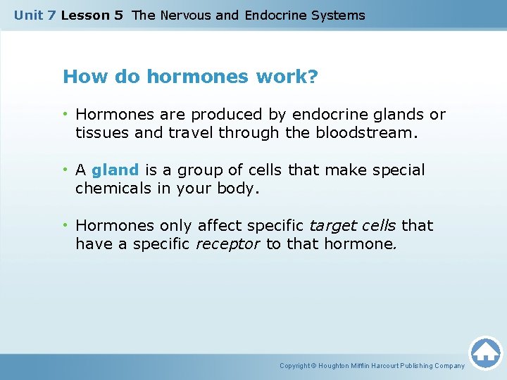 Unit 7 Lesson 5 The Nervous and Endocrine Systems How do hormones work? • Unit 7 Lesson 5 The Nervous and Endocrine Systems How do hormones work? •
