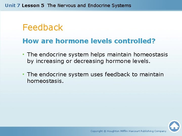 Unit 7 Lesson 5 The Nervous and Endocrine Systems Feedback How are hormone levels Unit 7 Lesson 5 The Nervous and Endocrine Systems Feedback How are hormone levels