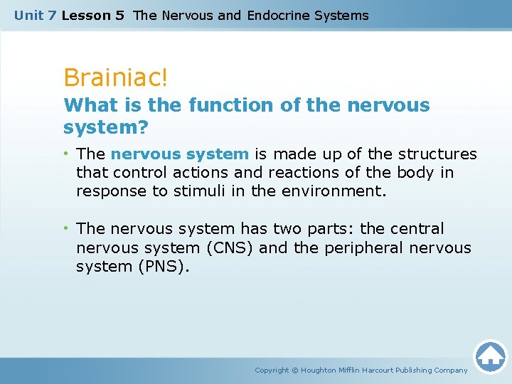 Unit 7 Lesson 5 The Nervous and Endocrine Systems Brainiac! What is the function Unit 7 Lesson 5 The Nervous and Endocrine Systems Brainiac! What is the function
