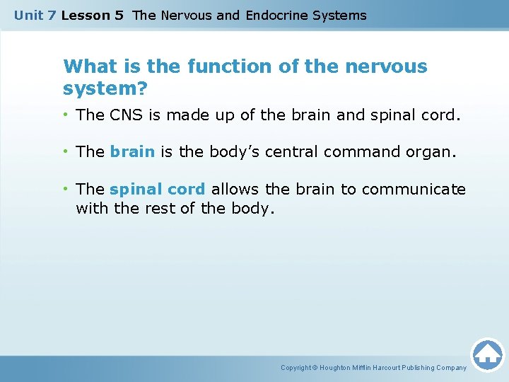 Unit 7 Lesson 5 The Nervous and Endocrine Systems What is the function of Unit 7 Lesson 5 The Nervous and Endocrine Systems What is the function of