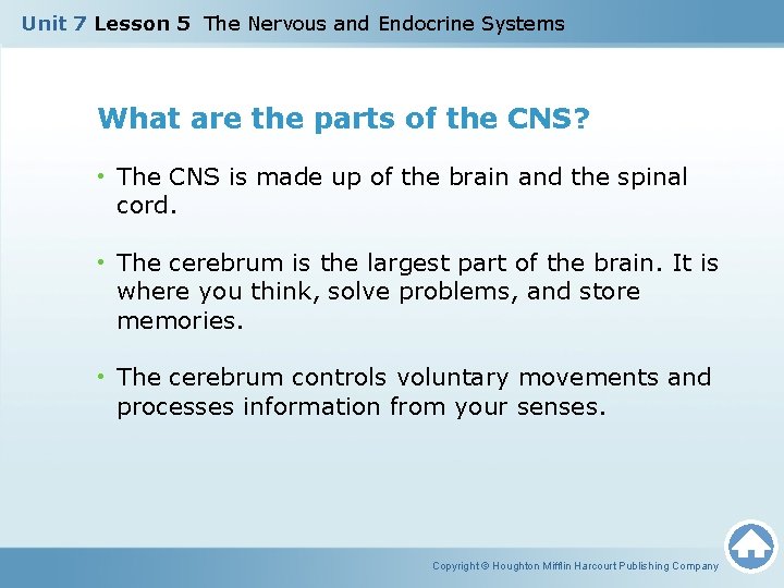 Unit 7 Lesson 5 The Nervous and Endocrine Systems What are the parts of Unit 7 Lesson 5 The Nervous and Endocrine Systems What are the parts of