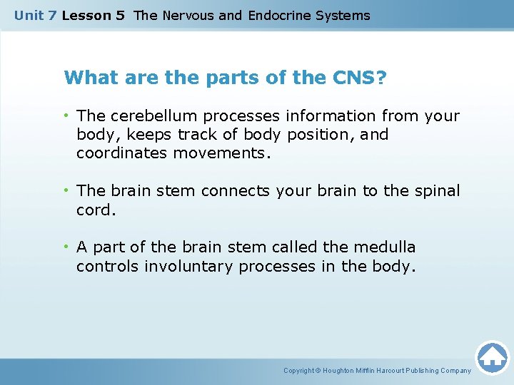 Unit 7 Lesson 5 The Nervous and Endocrine Systems What are the parts of Unit 7 Lesson 5 The Nervous and Endocrine Systems What are the parts of