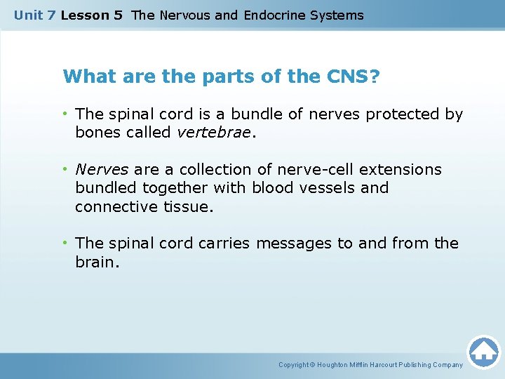 Unit 7 Lesson 5 The Nervous and Endocrine Systems What are the parts of Unit 7 Lesson 5 The Nervous and Endocrine Systems What are the parts of